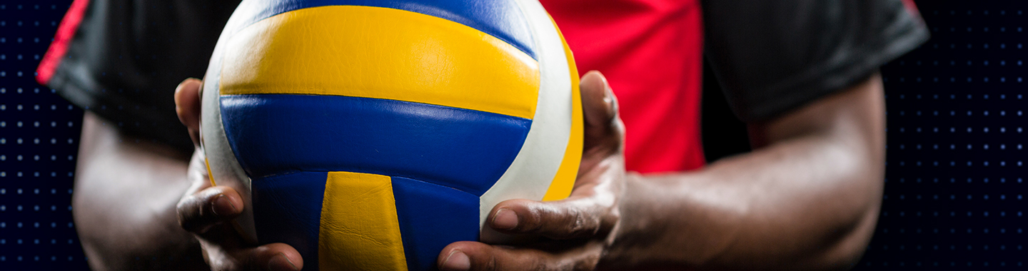 Volleyball image